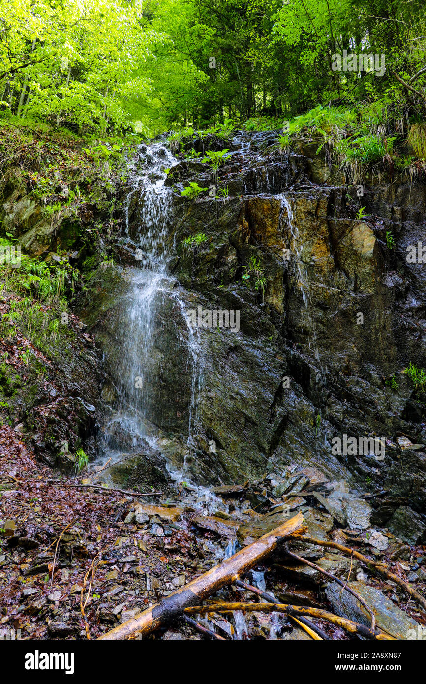 Small waterfall in a humid dark forest in Romania Stock Photo