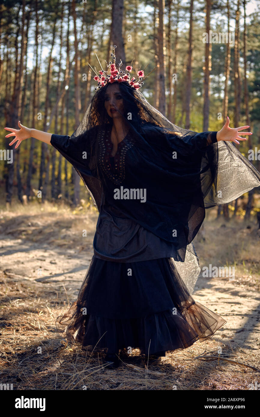 Gorgeous, wicked, long-haired sorceress in a black, long embroidered dress. There is large red crown in her brown, curly hair under a black veil. She Stock Photo