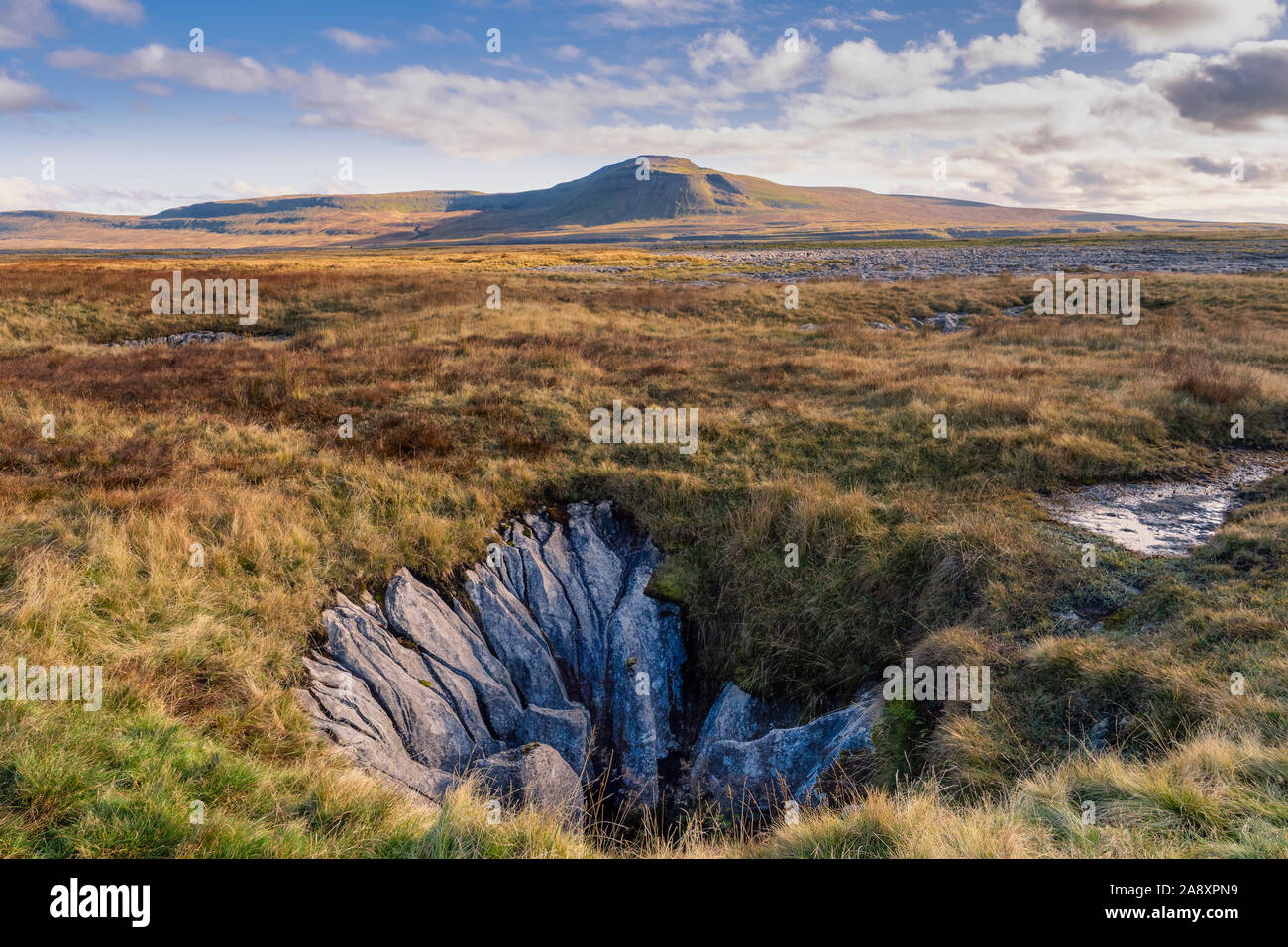 Ingleborough is the second-highest mountain in the Yorkshire Dales. It ...