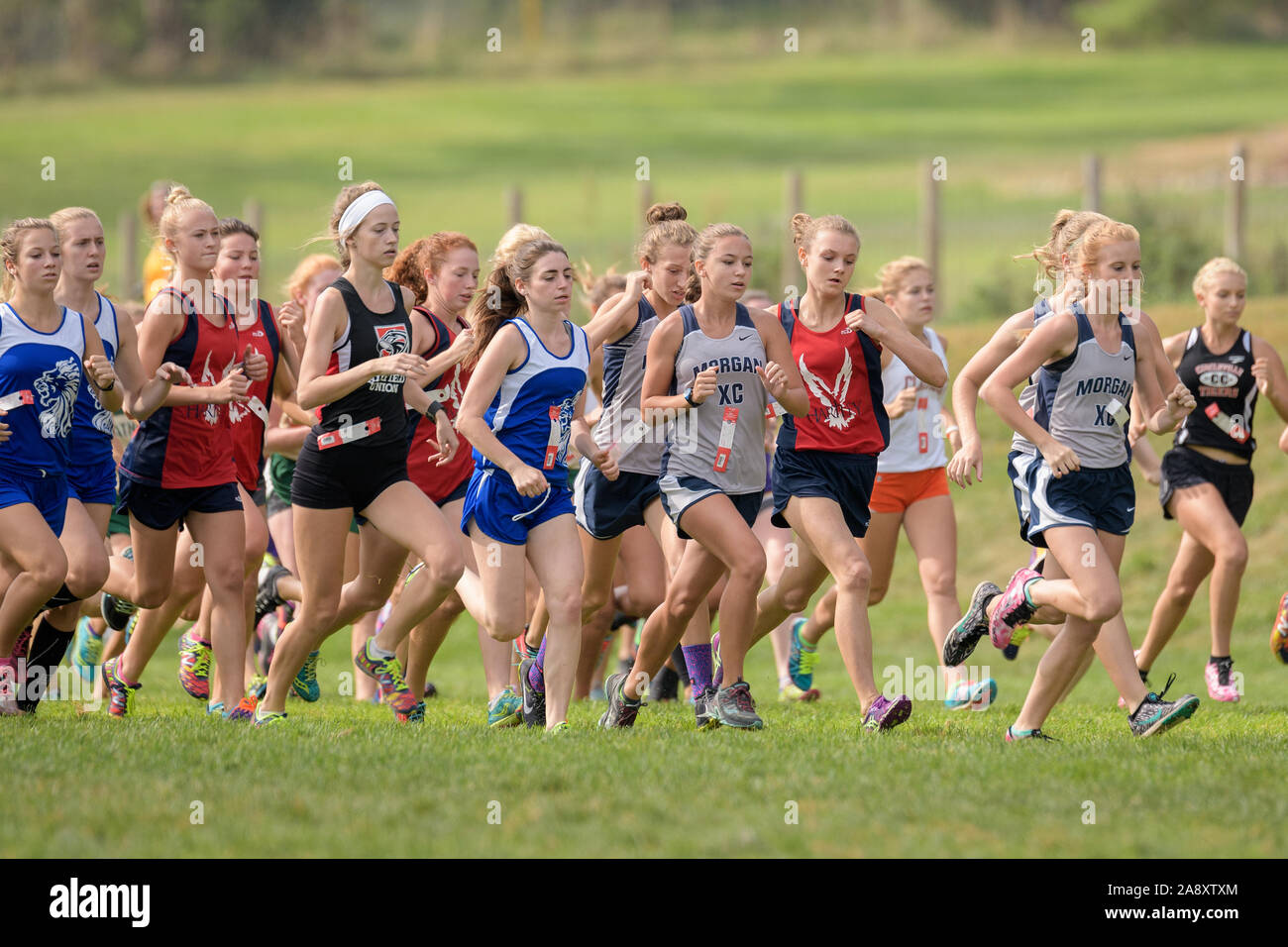 Field comp hires stock photography and images Alamy