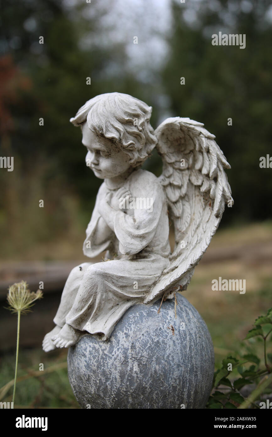 Angel Statue Looks At A Flower In A Garden Peaceful Reflective