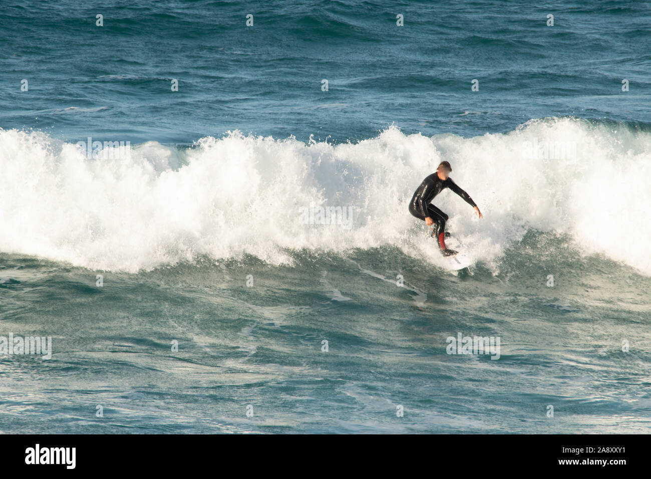 Surfer standing up surfing a wave Stock Photo Alamy