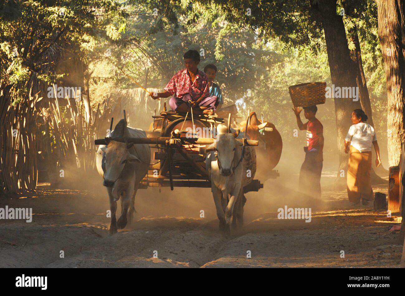 Myanmar - Asien - Bauern mit Ochsenkarren Stock Photo