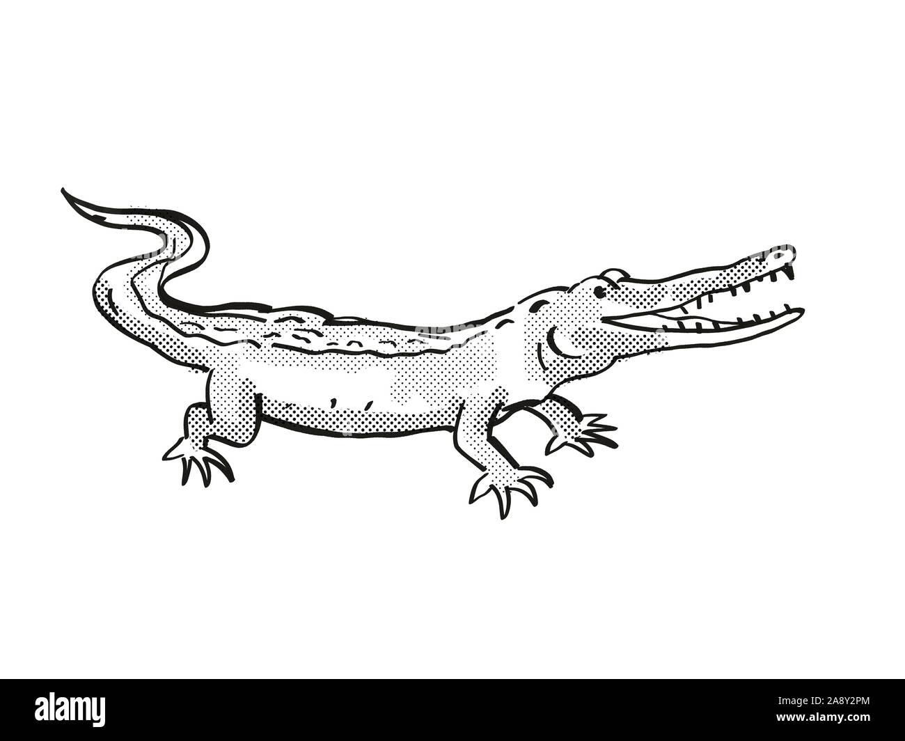 Crocodile Drawing Outline