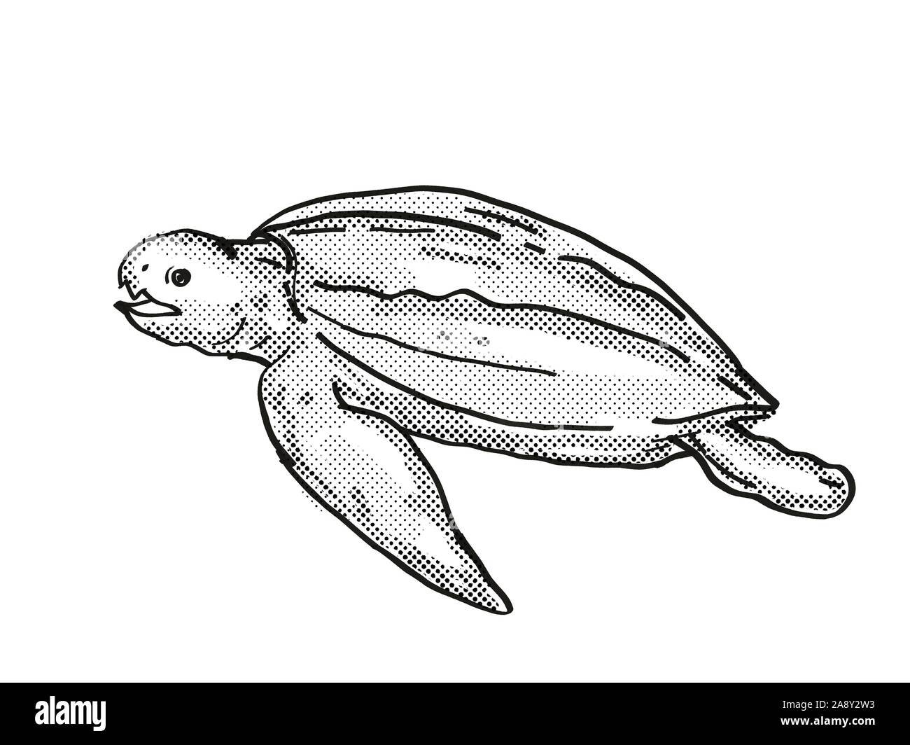 leatherback sea turtle drawing 2