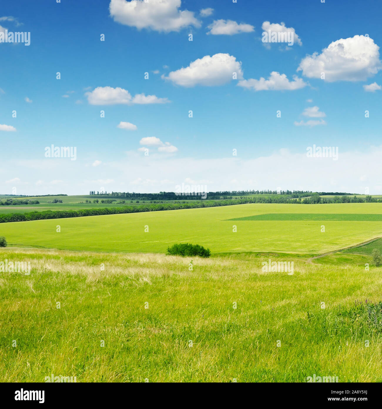 green field and blue sky with light clouds Stock Photo - Alamy