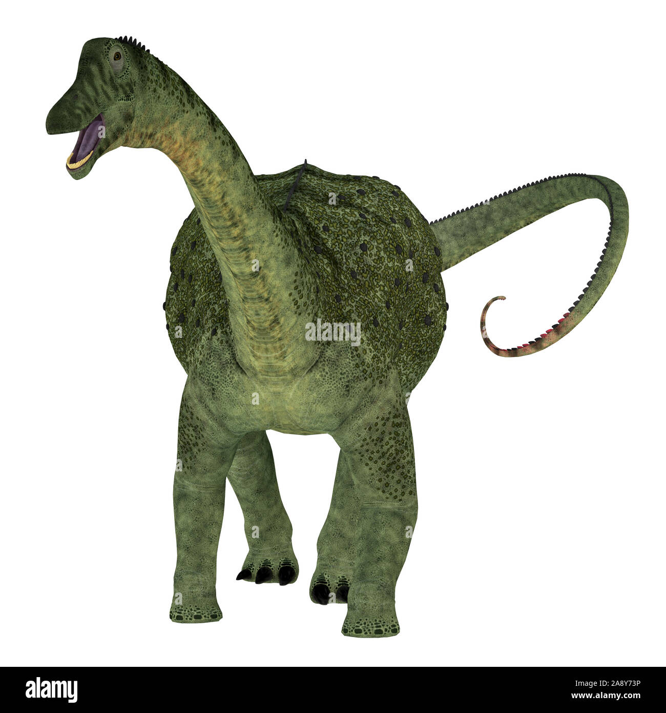 Saltasaurus Dinosaur King