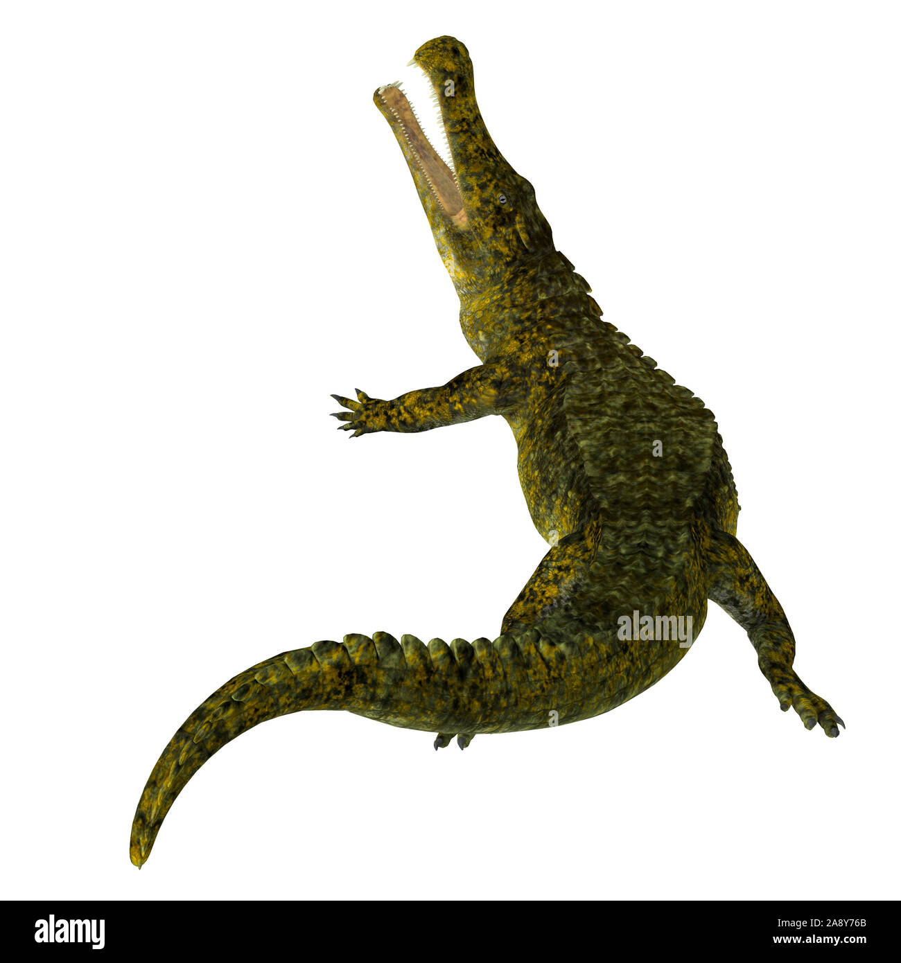 Sarcosuchus was a carnivorous aquatic crocodile that lived in Africa during the Cretaceous Period. Stock Photo