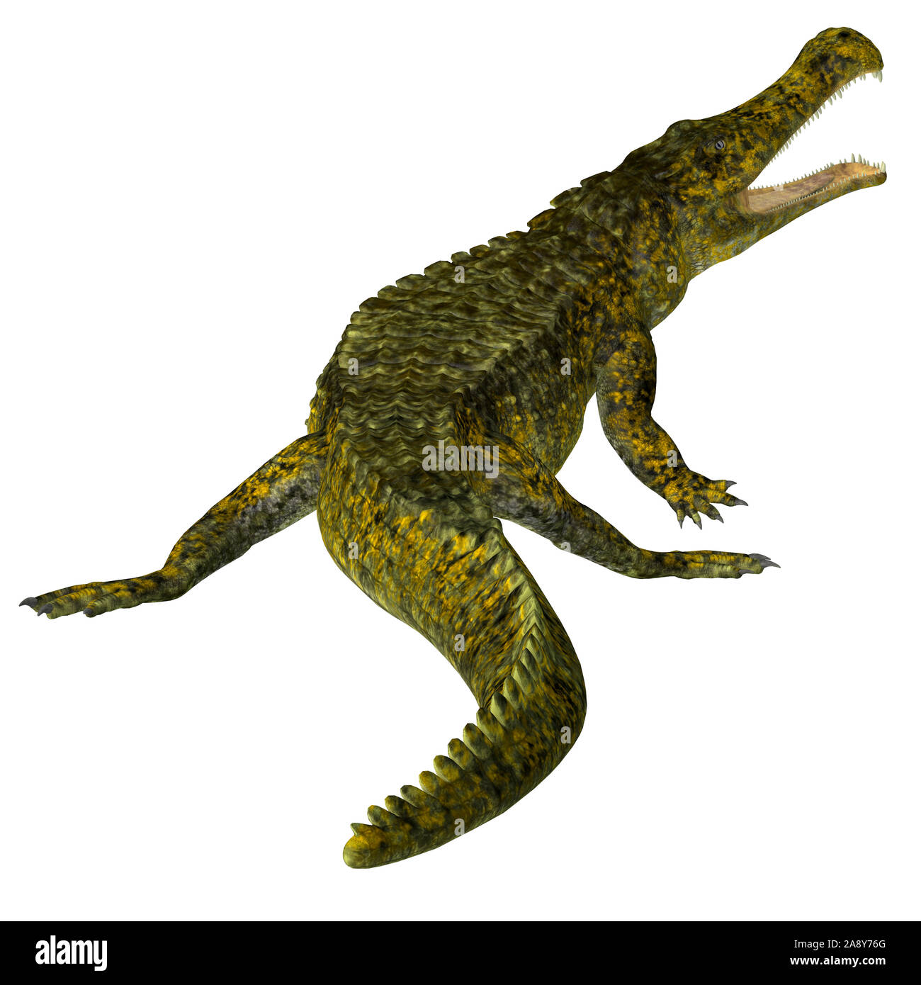 Sarcosuchus was a carnivorous aquatic crocodile that lived in Africa during the Cretaceous Period. Stock Photo