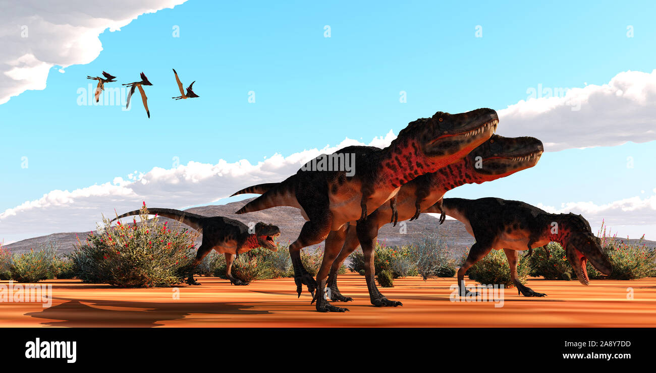 A flock of Thalassodromeus pterosaurs fly over a group of theropod Tarbosaurus dinosaurs on the hunt for prey. Stock Photo