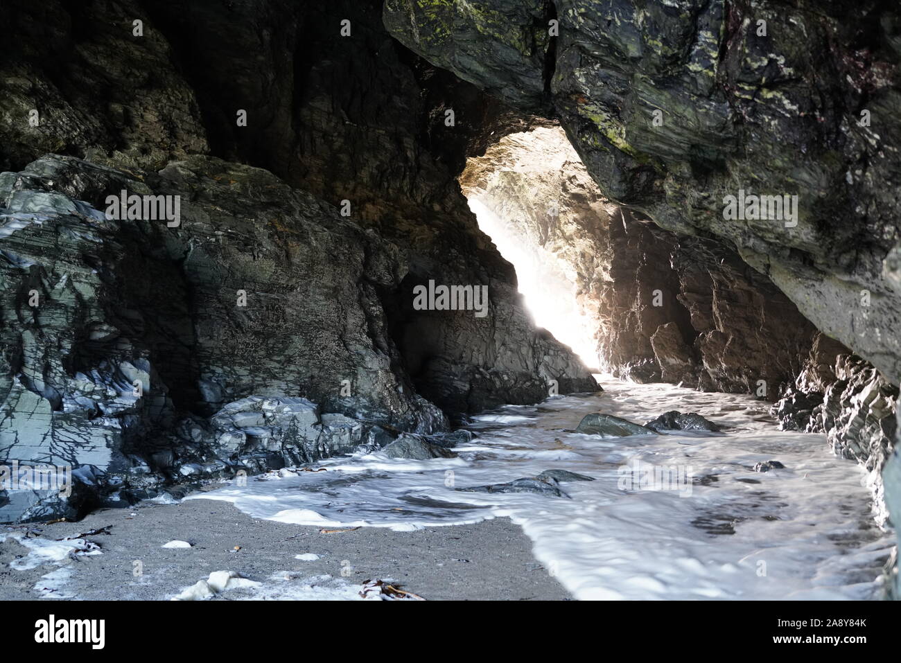 Merlins hi-res stock photography and images - Alamy