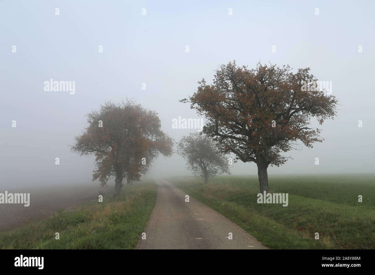 Morning fog. Autumn landscape with roads and trees Stock Photo - Alamy