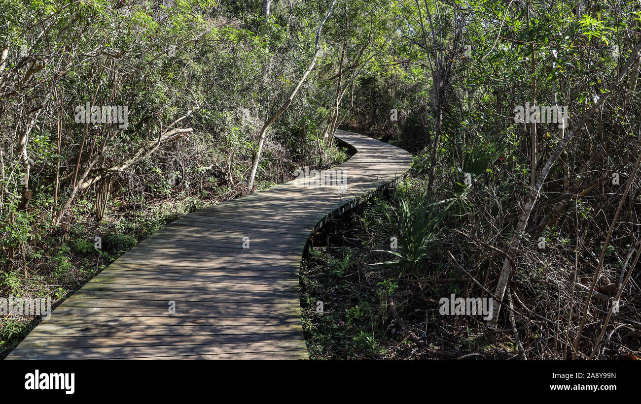 Spanish Pond Trail Boardwalk Stock Photo Alamy