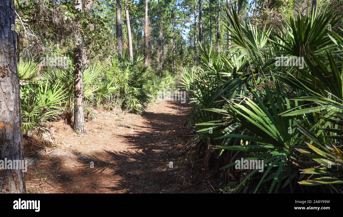 Spanish Pond Trail Stock Photo Alamy