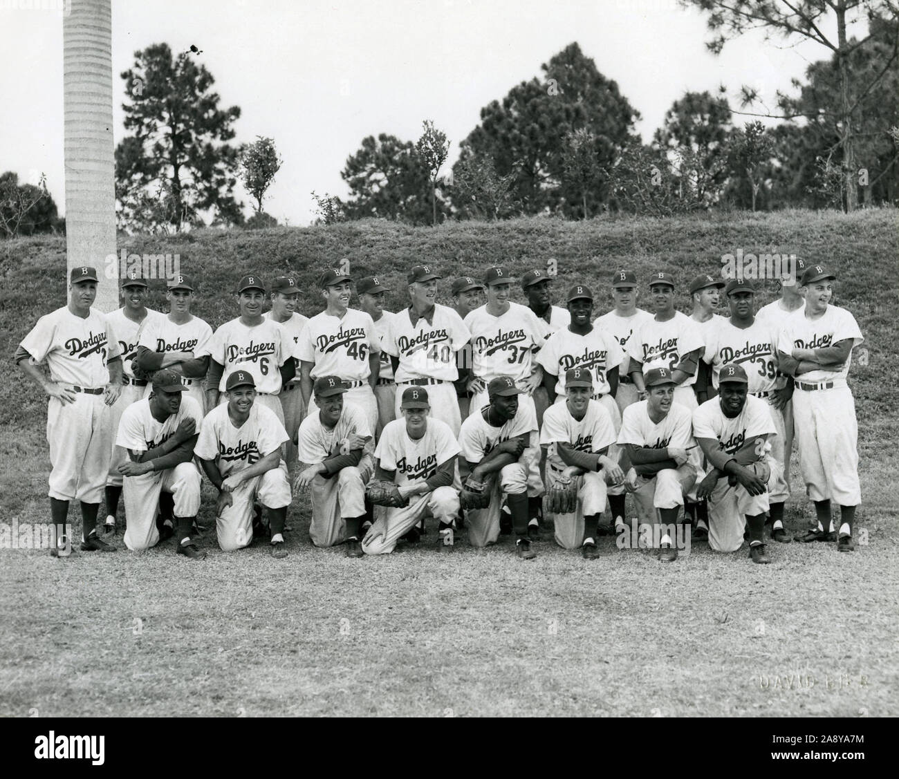 Vintage black and white team photo of the Brooklyn Dodgers at their spring training site in Vero Beach, Florida circa 1950s. Stock Photo