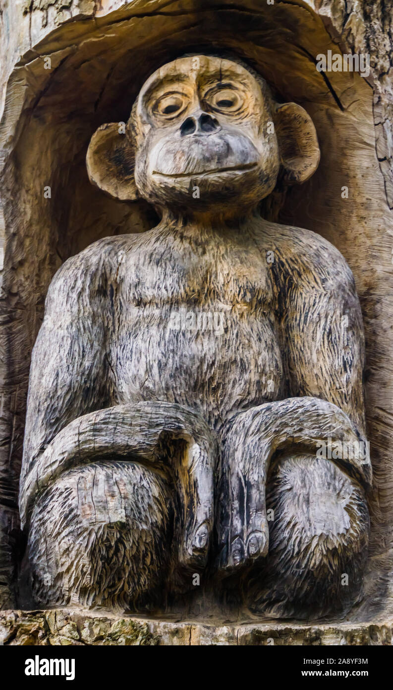 beautiful carved wooden monkey sculpture, wood artwork, Zoo and garden
