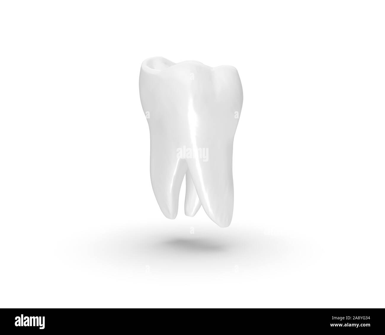 Tooth isolated on white Background 3D Rendering Stock Photo - Alamy