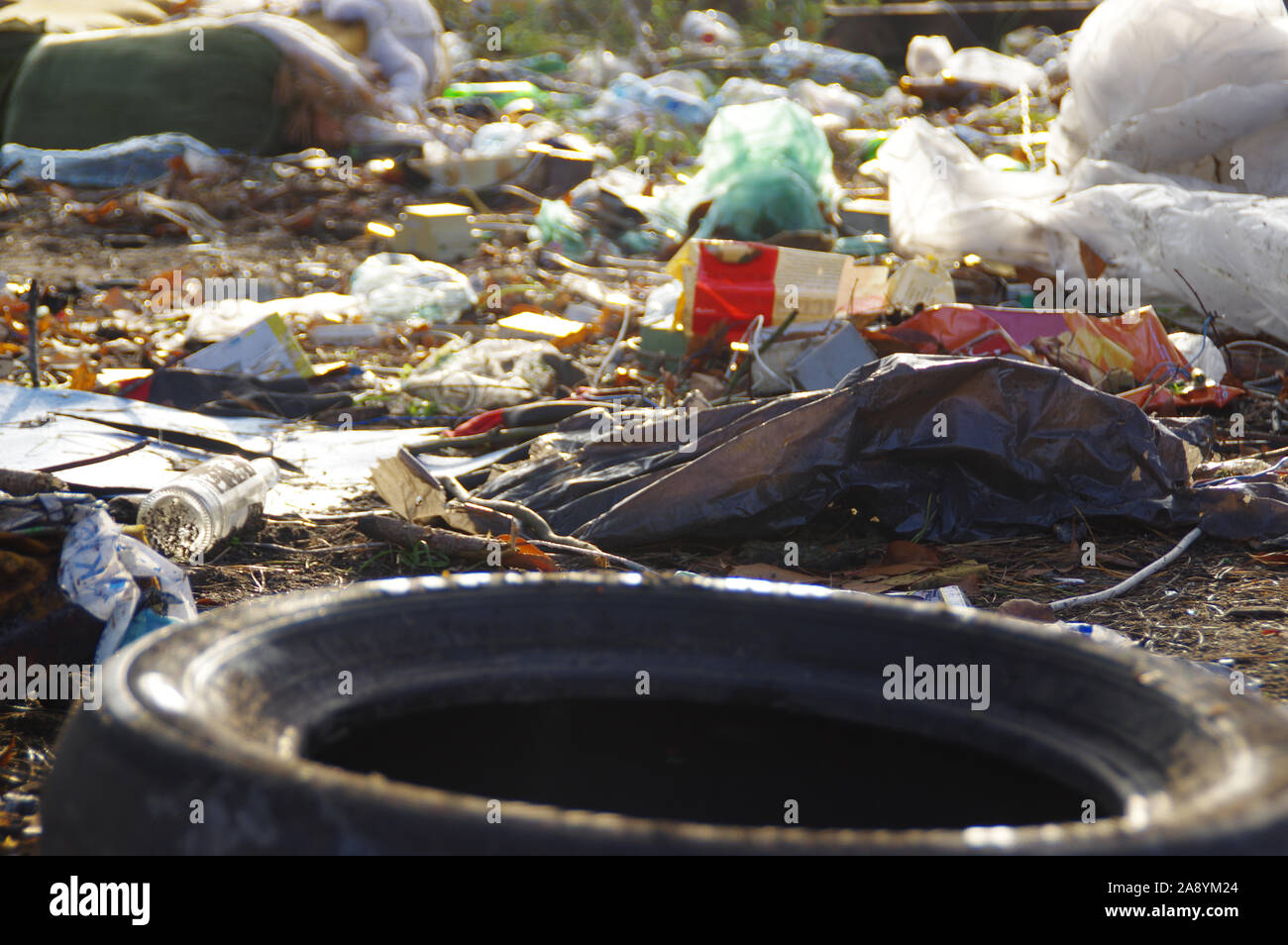 Heap of plastic garbage in the forest. Environmental protection concept. Stock Photo