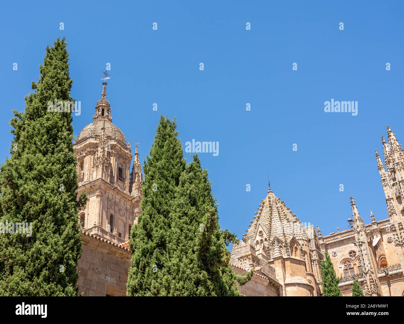 Ornate carvings and bell tower of the Old Cathedral in Salamanca Stock Photo