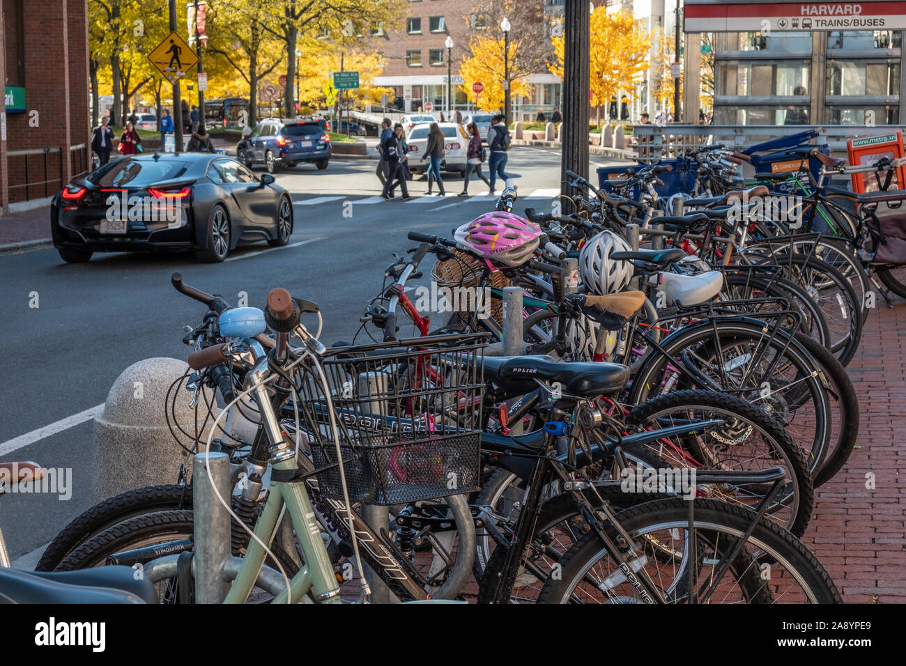 Bicycles for rent in Harvard Square Stock Photo