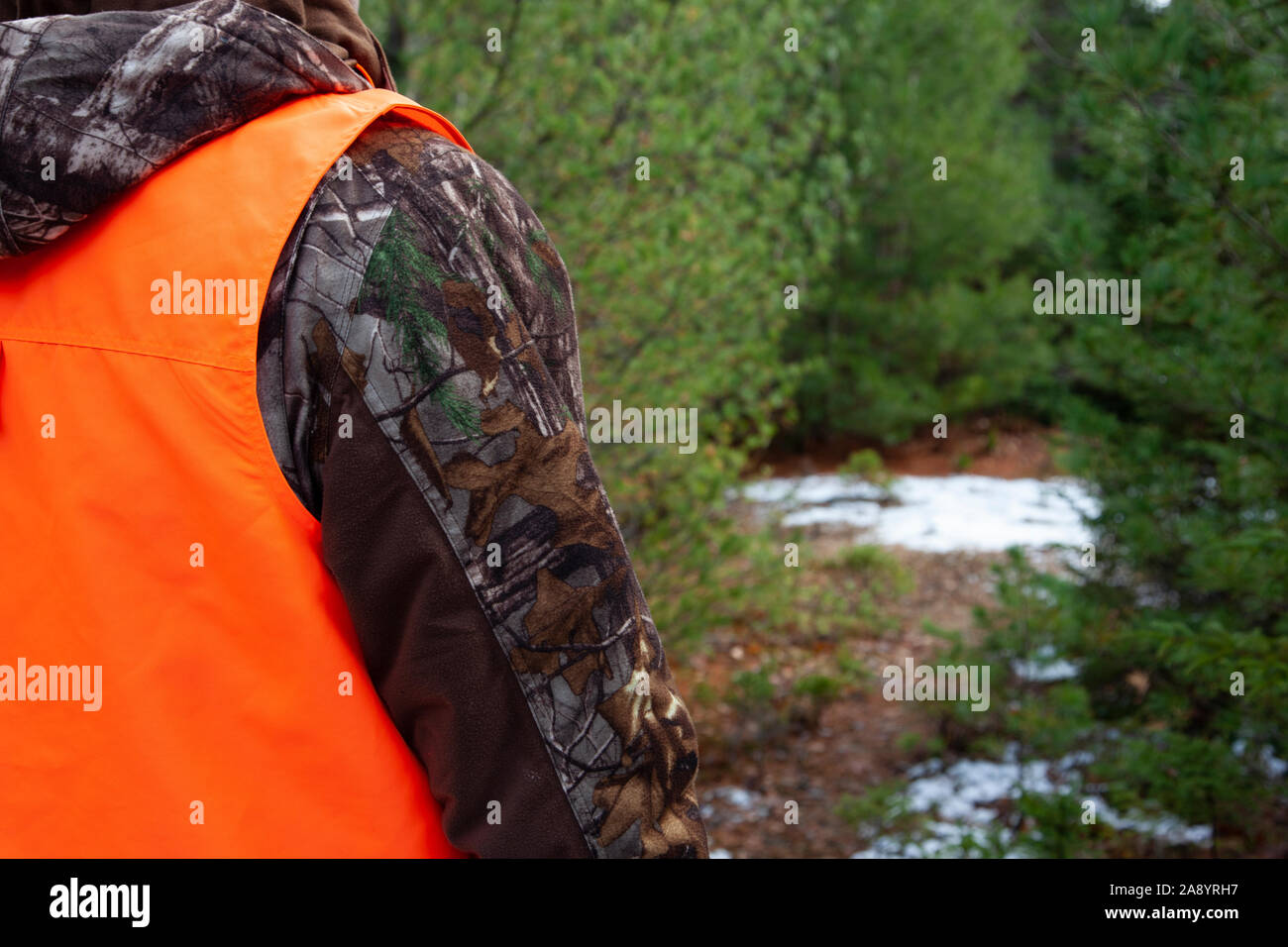 person in camouflage wearing a hunter orange vest to be visible in the woods to hunters Stock Photo