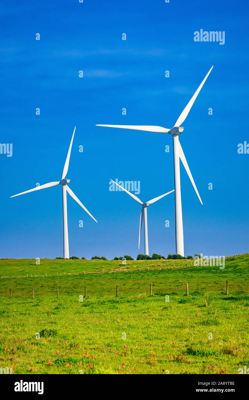 Wind turbines on farm properties at Cape Nelson in Victoria, Australia Stock Photo