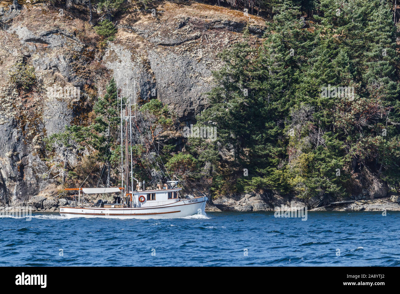 A former commercial fishing vessel, converted to a pleasure boat, is underway, motoring alongside a steep rocky shore on Salt Spring Island, BC. Stock Photo