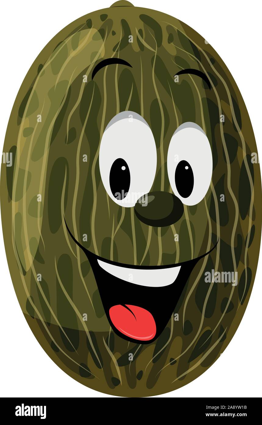 Fruits Characters Collection: Vector illustration of a funny and smiling melon character. Stock Vector