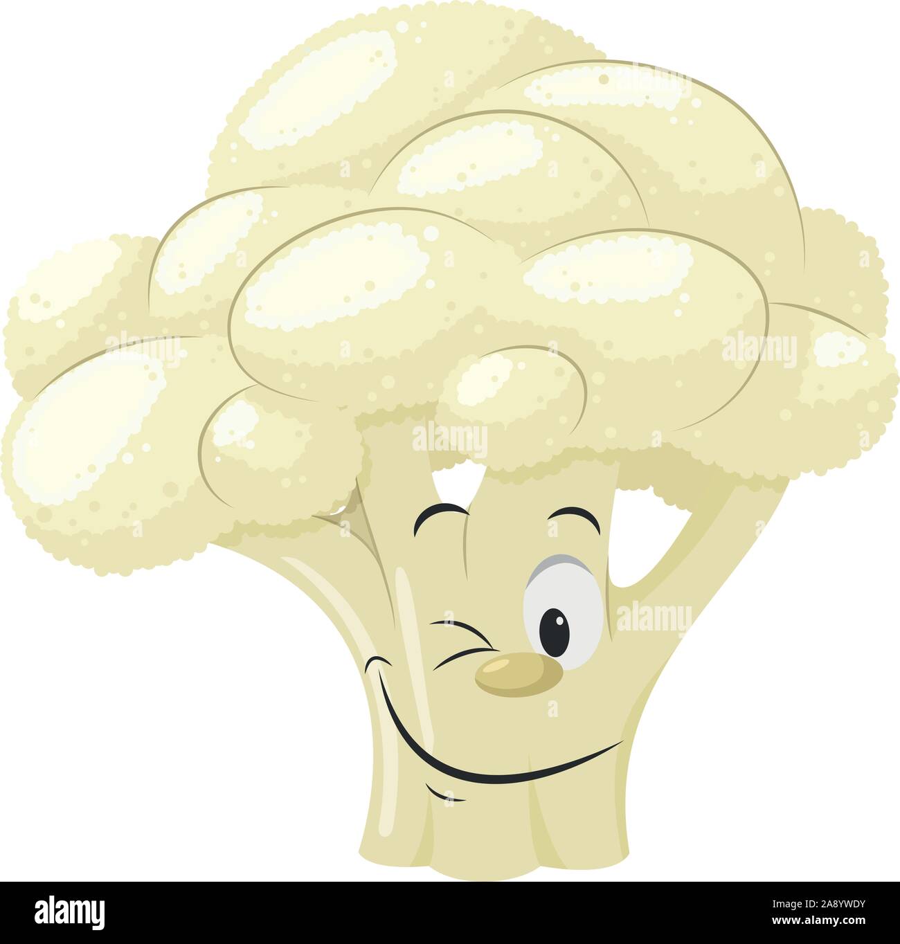 Vegetables Characters Collection: Vector illustration of a funny and  smiling cauliflower in cartoon style Stock Vector Image & Art - Alamy