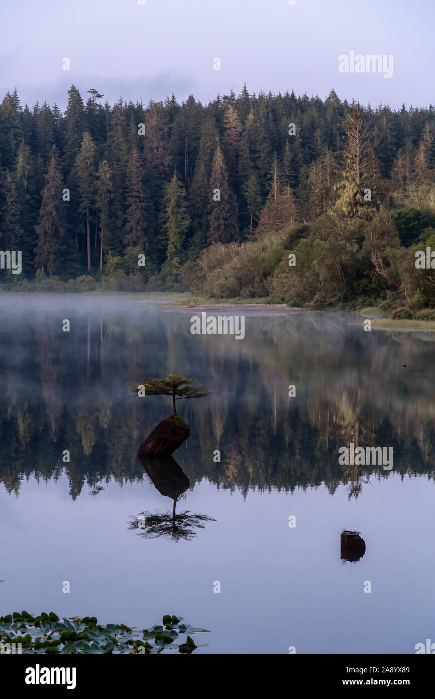 Port Renfrew, Vancouver Island, British Columbia, Canada. View of an