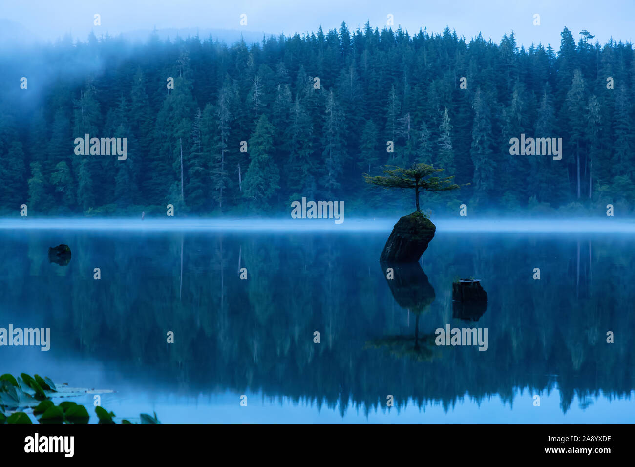 Port Renfrew, Vancouver Island, British Columbia, Canada. View of an