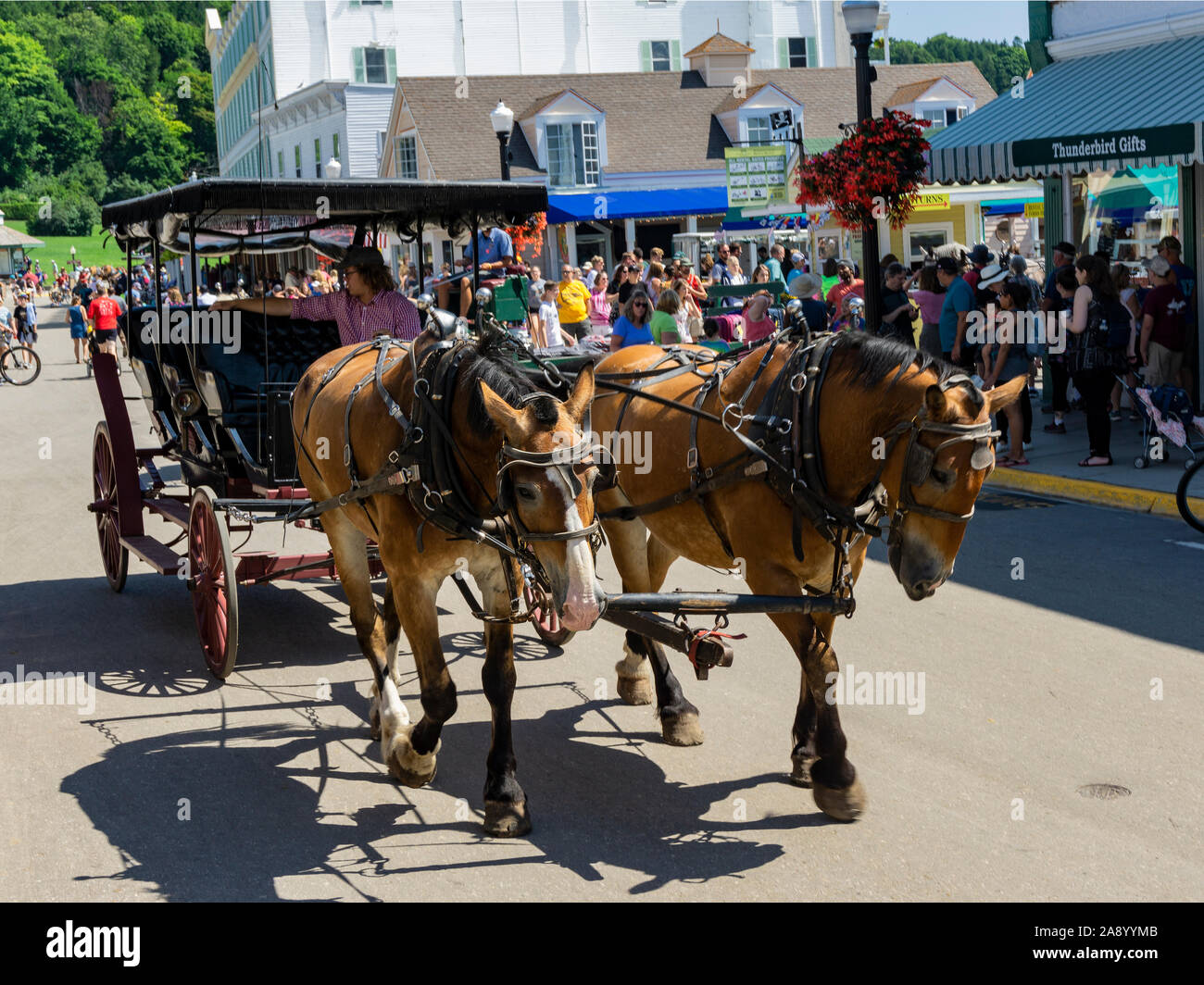 Mackinac Island, Michigan, horse drawn carriage ride Stock Photo Alamy