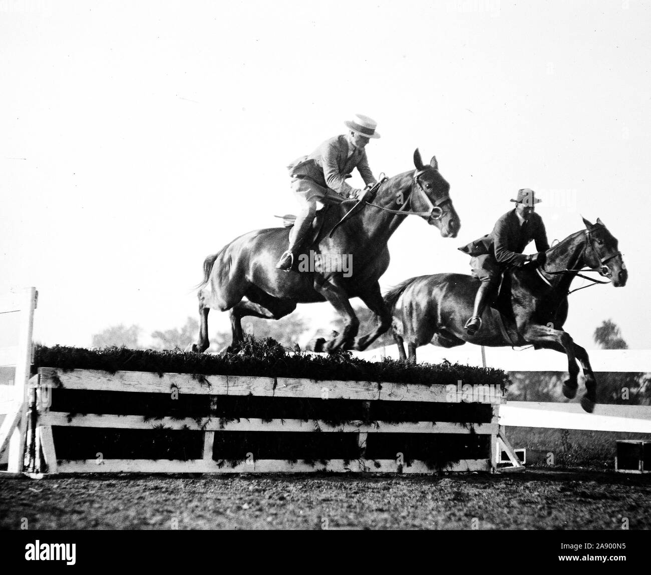 Horse jumping at equestrian event ca. 19191921 Stock Photo Alamy