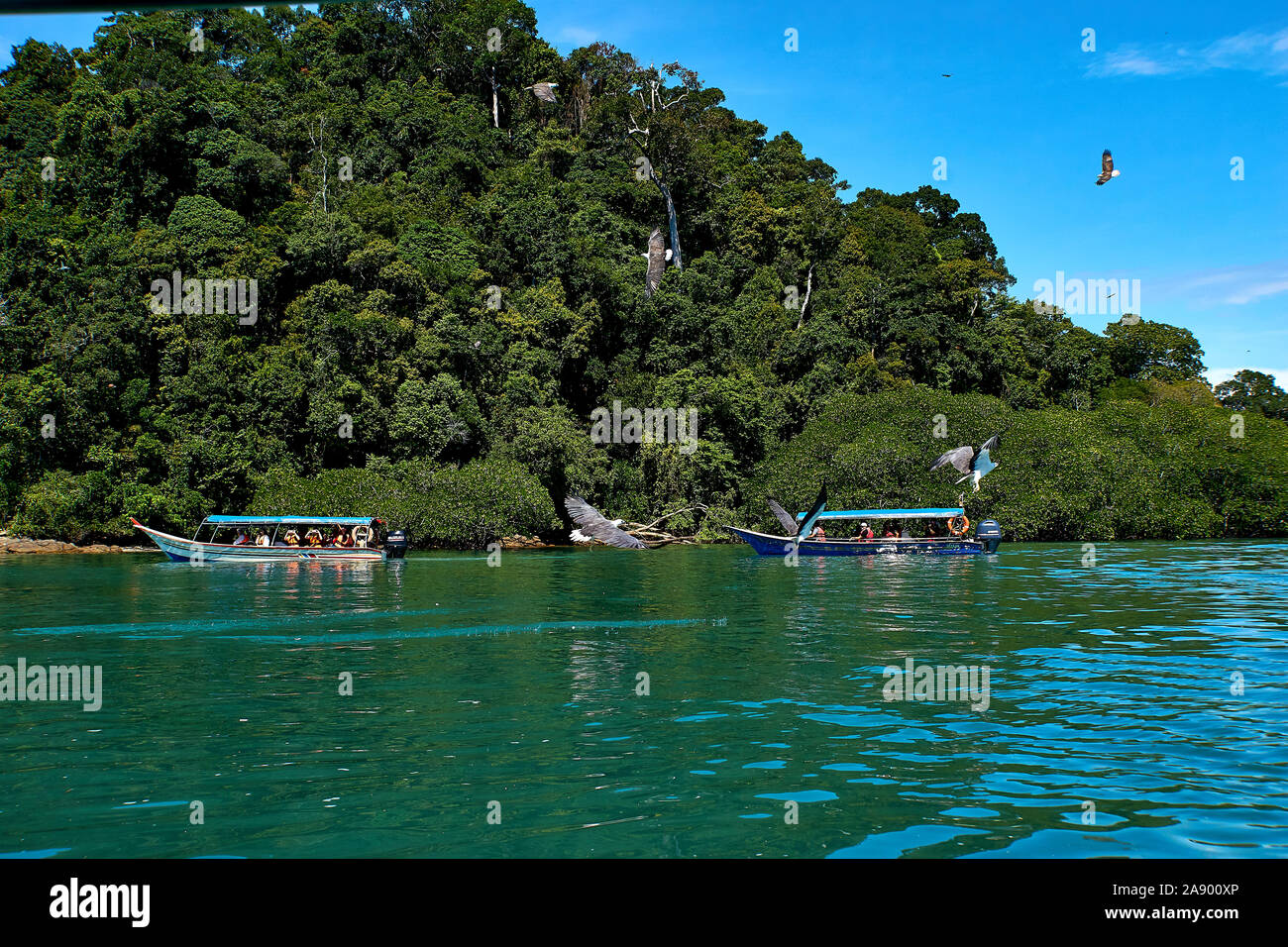 Island hopping langkawi