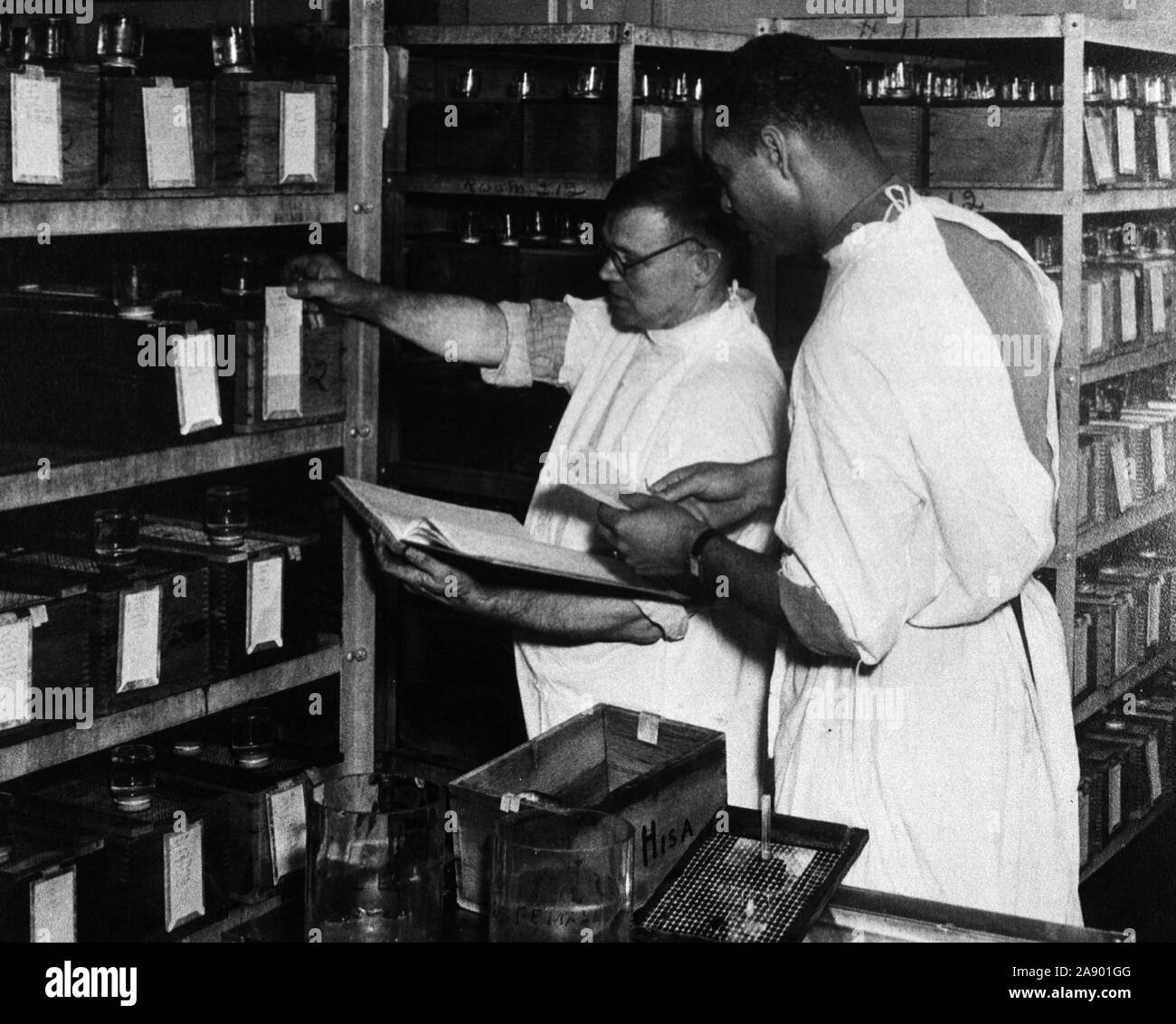 Men and laboratory examining animal cages (animals used for medical
