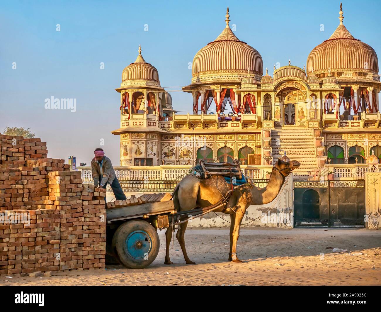 Bricks being unloaded by a delivery man from a cart harnessed to a camel in front of a beautifully restored haveli palace. Mandawa, Rajasthan, India. Stock Photo