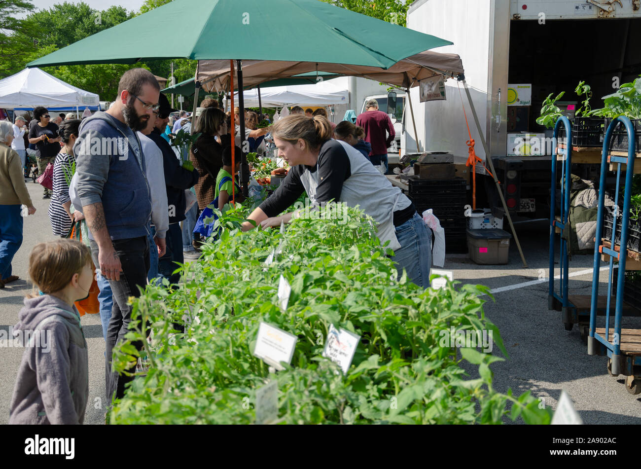 Vegetables are sold at a farmer's market stall Stock Photo - Alamy