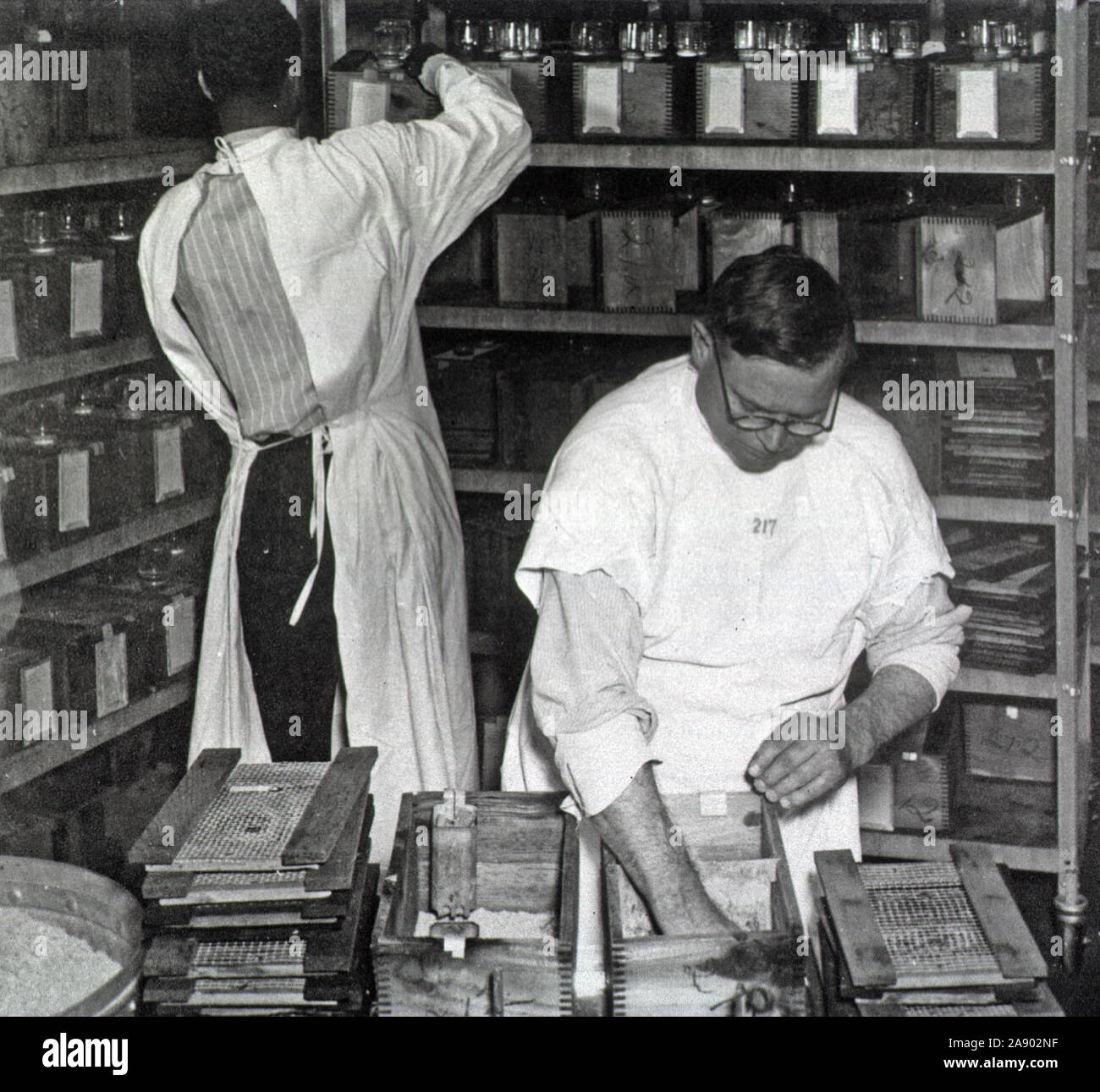 Cleaning cages used for animals used in medical testing Stock Photo Alamy
