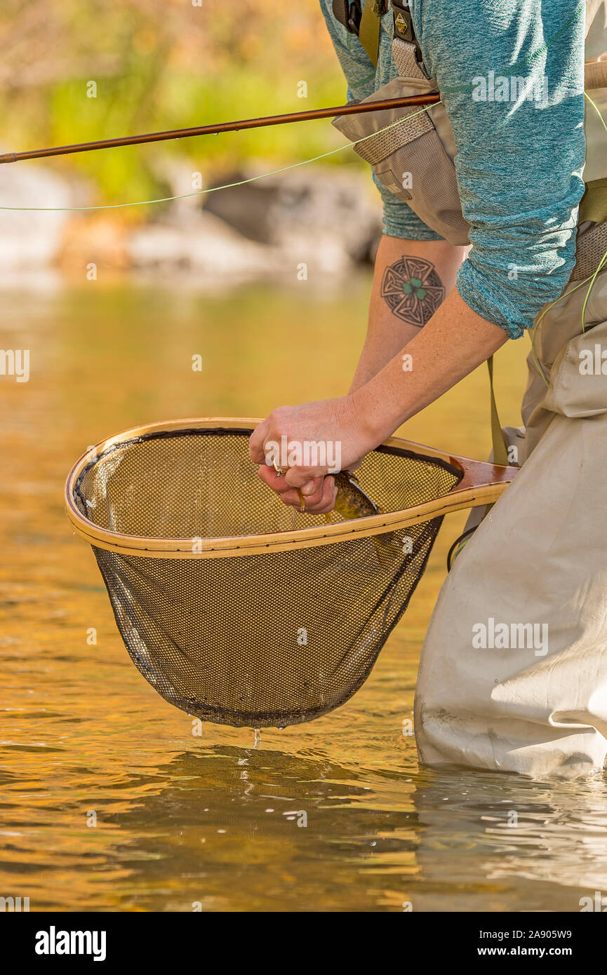 Fly fishing net hi-res stock photography and images - Alamy