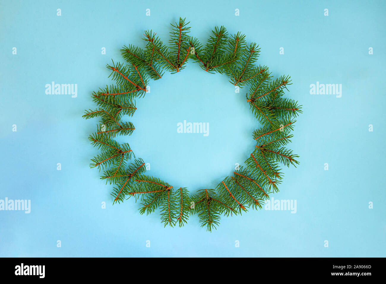 A wreath of pine tree branches over blue background. Stock Photo