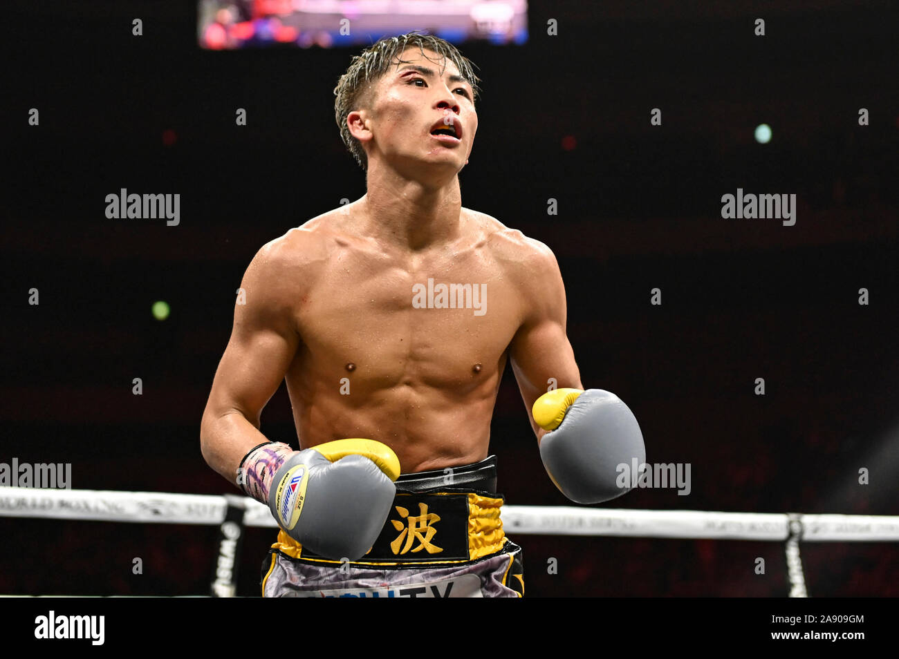 Naoya Inoue of Japan reacts after knocking down Nonito Donaire of Philippines in the 11th round of their World Boxing Super Series bantamweight final match against Nonito Donaire of Philippines at Saitama
