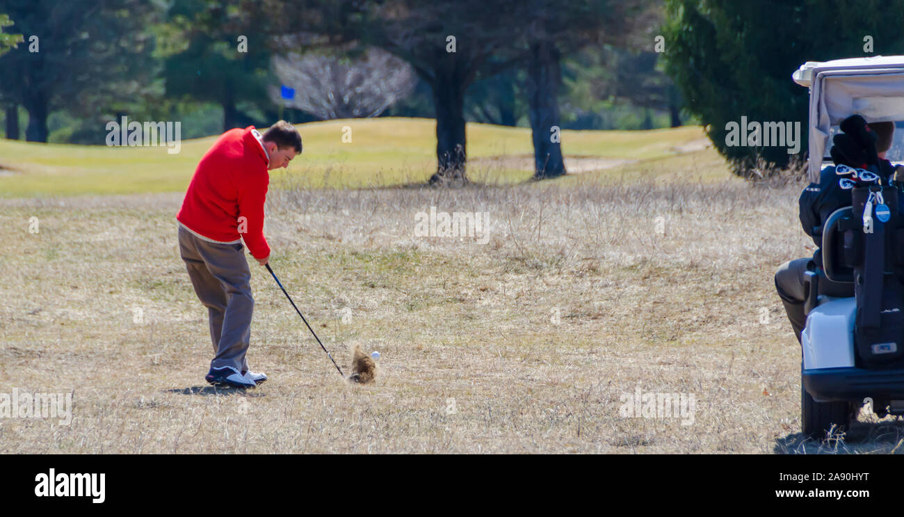 A golfer hitting the ball from the rough with an iron. Stock Photo