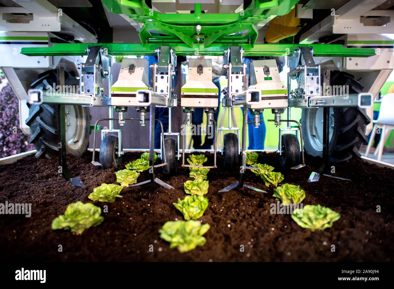 Hanover, Germany. 11th Nov, 2019. The robot 'Dino' stands at the booth of Naio Technologies over a bed with lettuce heads at the agricultural machinery fair Agritechnica in the fair Hannover. The robot can be used autonomously for mechanical weed control in salad rows thanks to various precise functions. From 10 to 16 November 2019, around 2,800 exhibitors will be presenting their innovations at the international exhibition for agricultural machinery. Credit: Hauke-Christian Dittrich/dpa/Alamy Live News Stock Photo