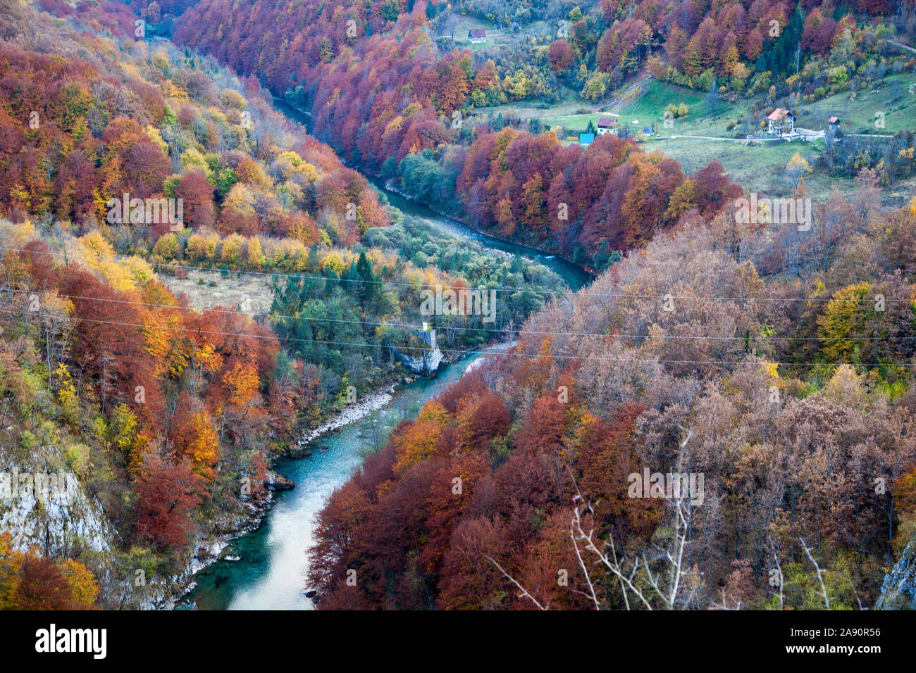 Beautiful nature in Montenegro.Mountains, forest and canyon of the river  Tara. The color of autumn Stock Photo - Alamy