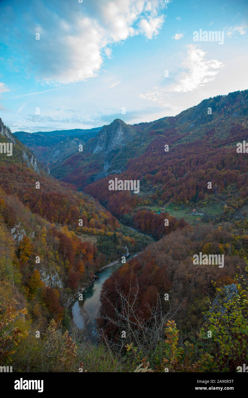Beautiful nature in Montenegro.Mountains, forest and canyon of the river  Tara. The color of autumn Stock Photo - Alamy