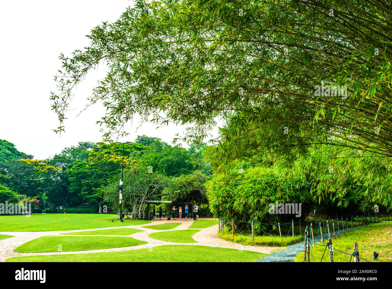 View Of Singapore Botanic Gardens Bamboo Leafs Garden In Foreground Stock Photo Alamy