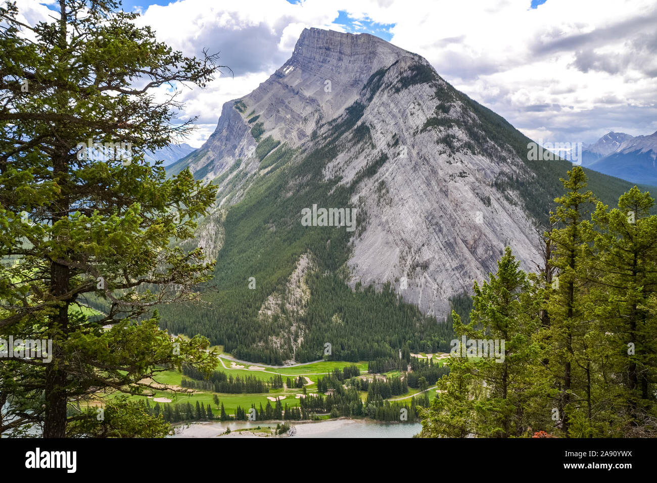 Rundle trees hi-res stock photography and images - Alamy