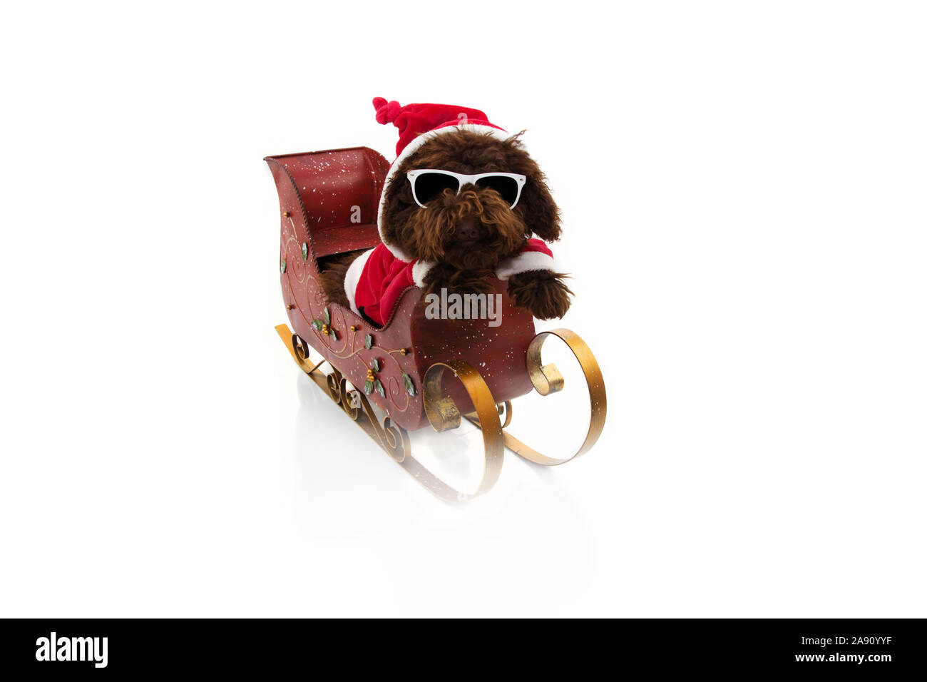Juguete Para Perros P.L.A.Y. Merry Woofmas Clumsy Claus - Ovillo De Lana Con Chirriador | Relleno Reciclado Y Lavable