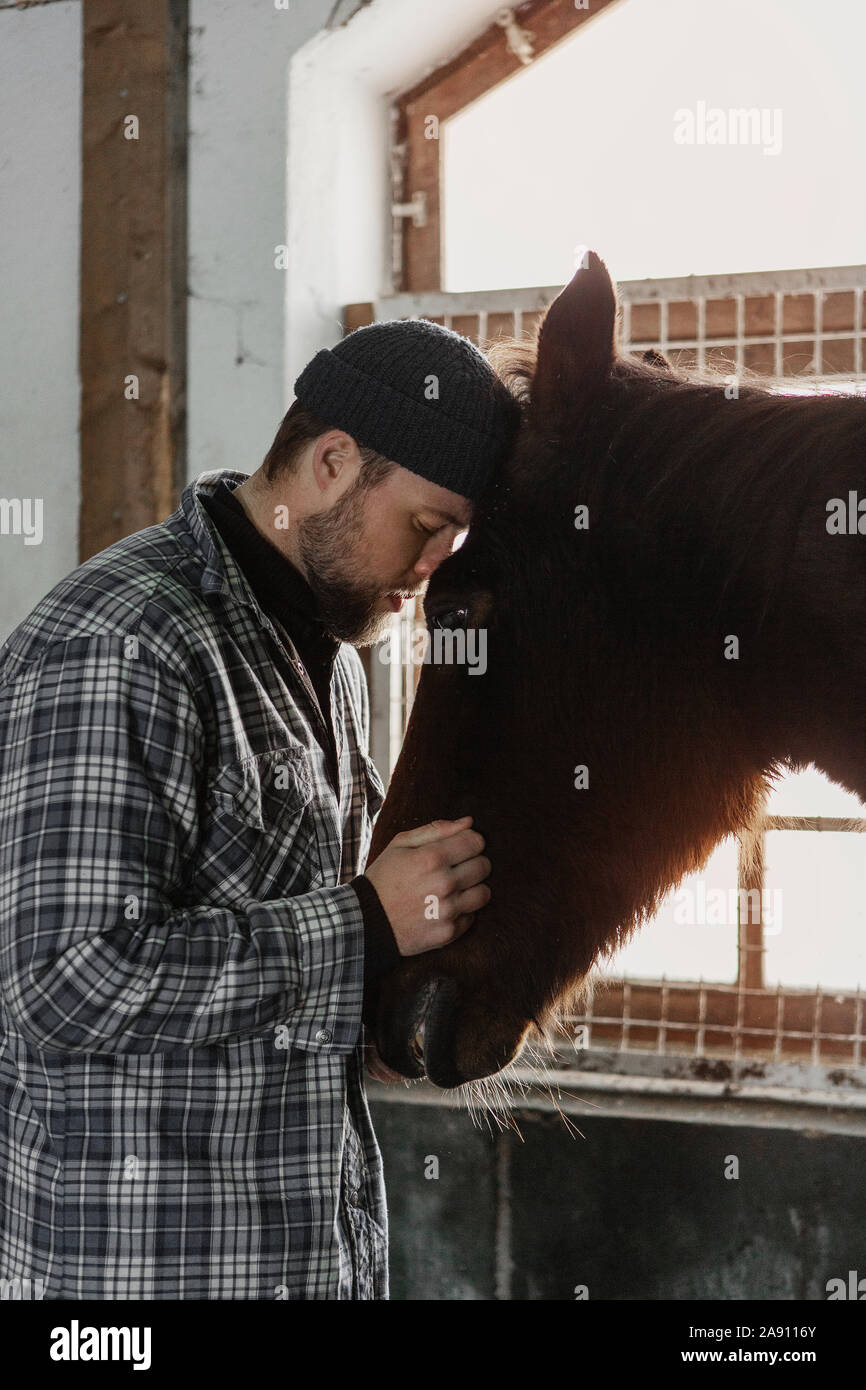 Man with horse in stable Stock Photo - Alamy