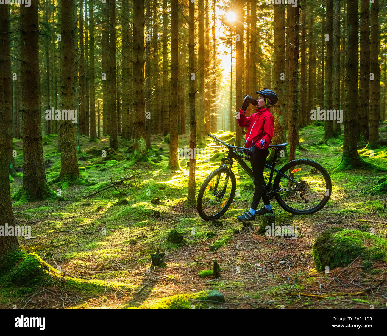 Cyclist in forest Stock Photo